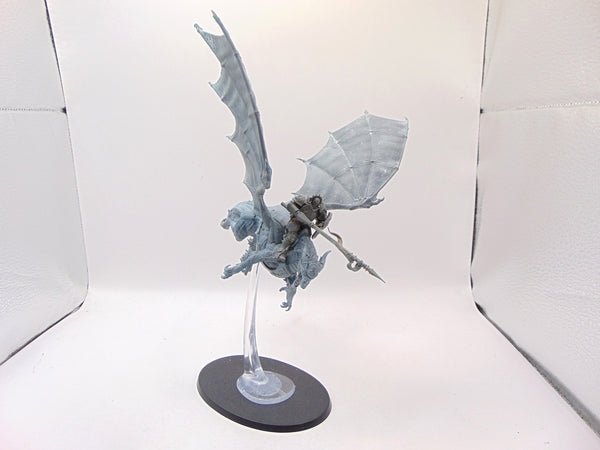 Stormdrake Guard