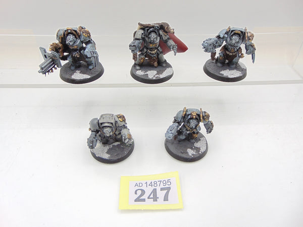 Wolf Guard Terminators