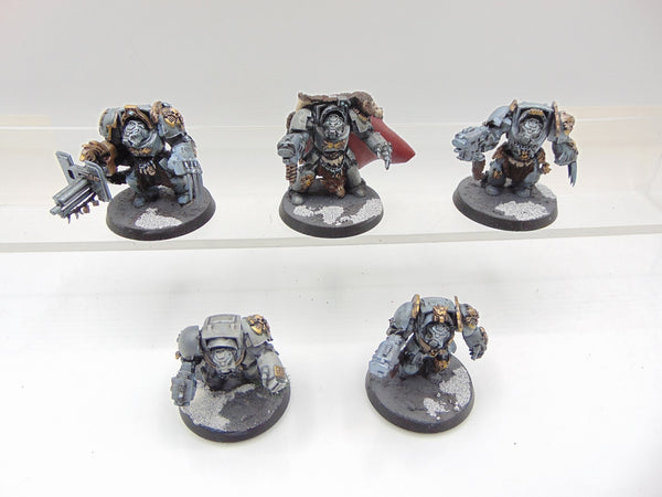 Wolf Guard Terminators