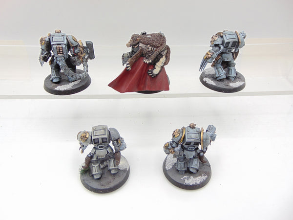 Wolf Guard Terminators