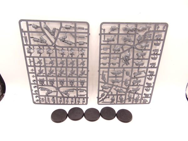 Cataphractii Terminator Squad