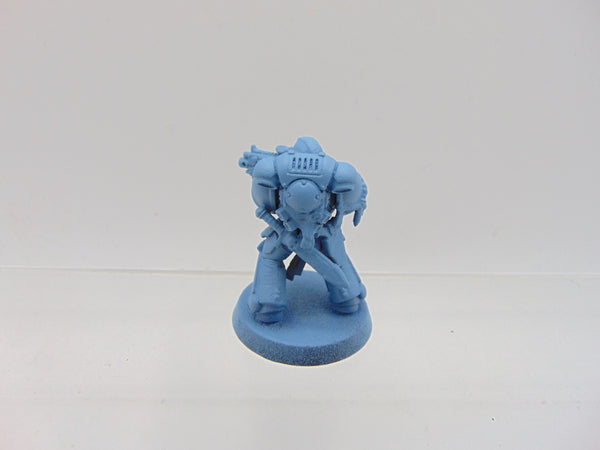 30th Anniversary Primaris Intercessor Veteran Sergeant