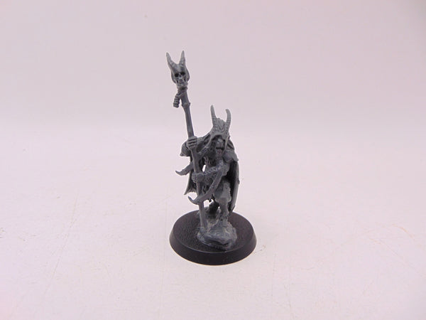Great Bray Shaman