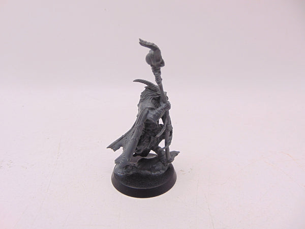 Great Bray Shaman