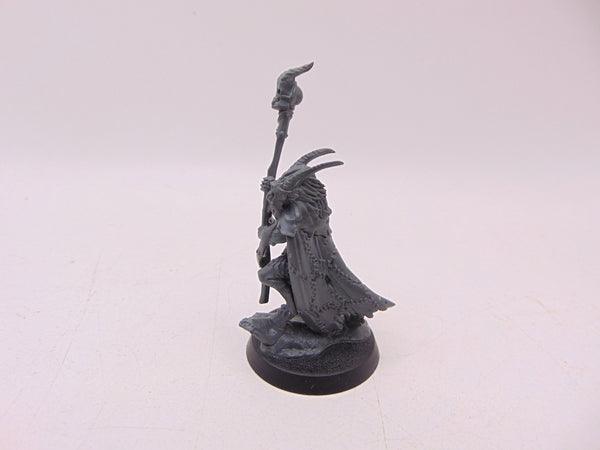 Great Bray Shaman