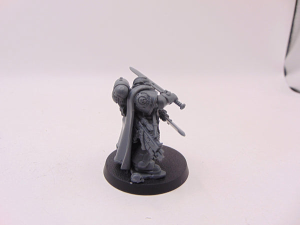 Company Champion Conversion