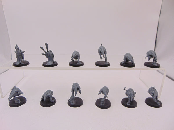 Squig Herd