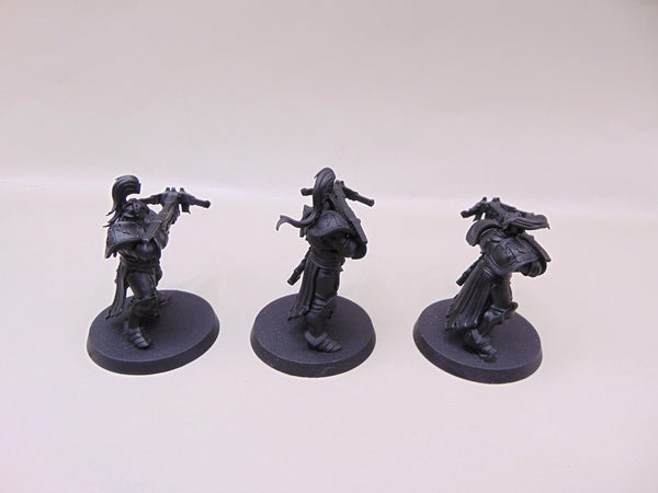 Vanguard Raptors