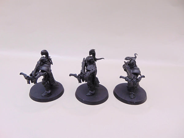 Vanguard Raptors