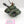 Leman Russ Battle Tank