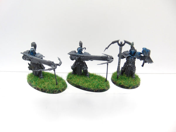 Vanguard Raptors