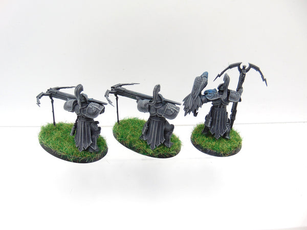 Vanguard Raptors