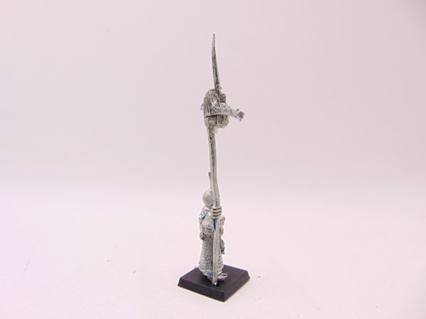 Dark Elf Standard Bearer