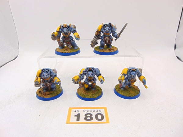 Wolf Guard Terminators