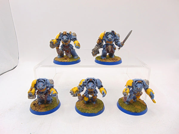 Wolf Guard Terminators