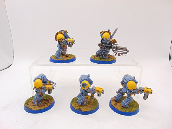 Wolf Guard Terminators