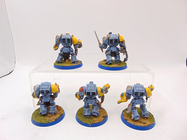 Wolf Guard Terminators