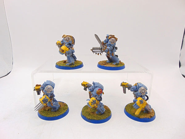 Wolf Guard Terminators