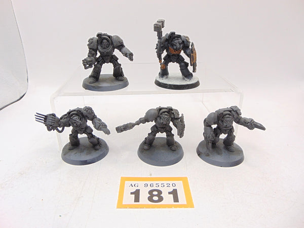 Terminator Assault Squad