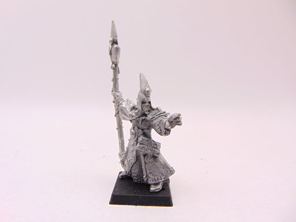 Dark Elf Sorcerer