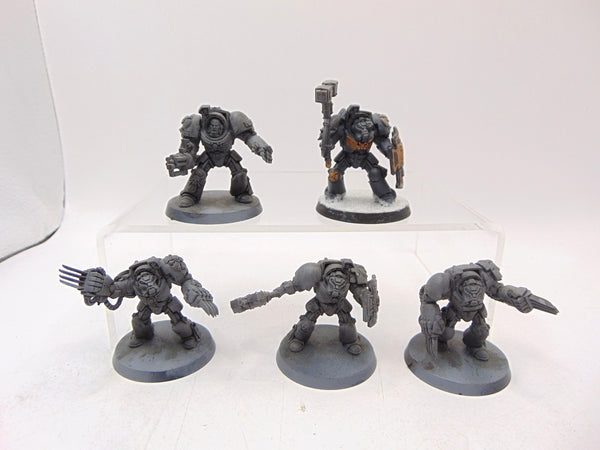 Terminator Assault Squad