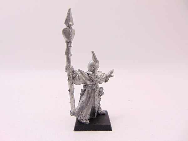 Dark Elf Sorcerer