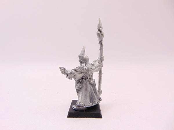 Dark Elf Sorcerer
