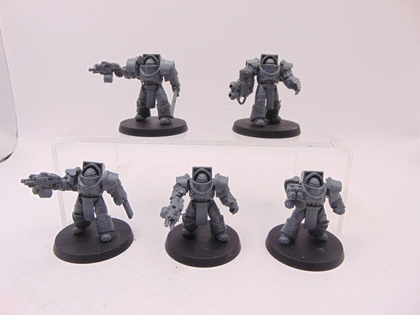Cataphractii Terminator Squad