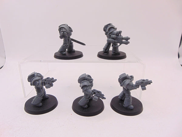 Cataphractii Terminator Squad