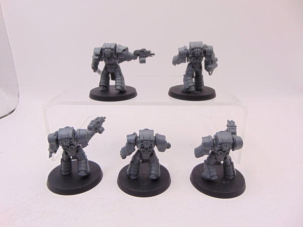 Cataphractii Terminator Squad