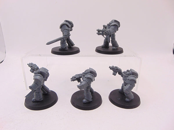 Cataphractii Terminator Squad