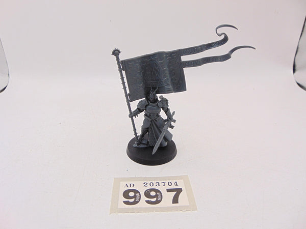 Knight Vexillor with Banner of Apotheosis