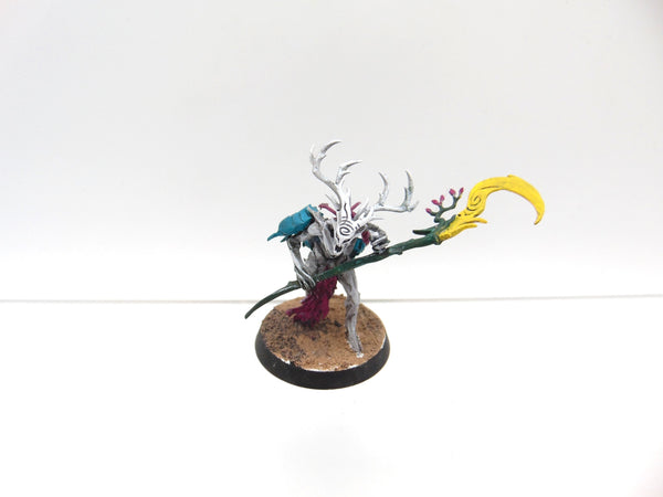 Branchwych