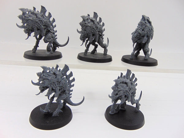 Barbgaunts