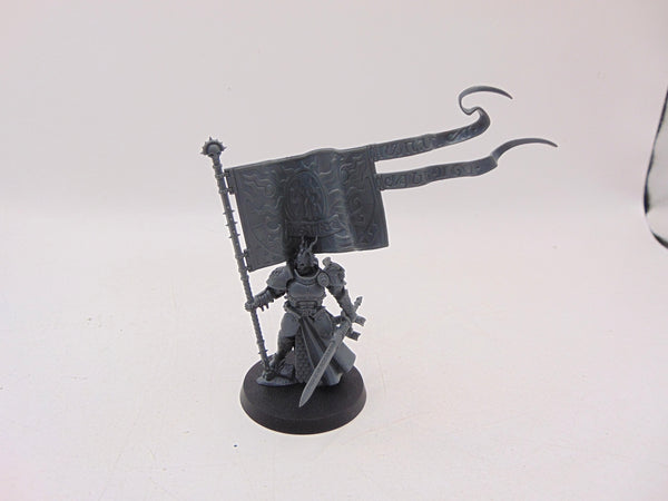Knight Vexillor with Banner of Apotheosis
