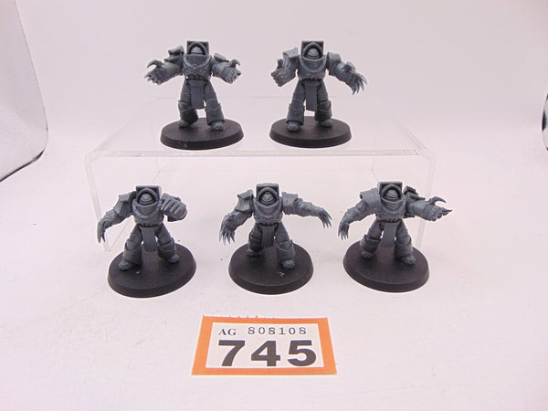 Cataphractii Terminator Squad