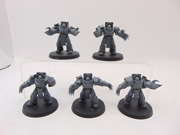 Cataphractii Terminator Squad