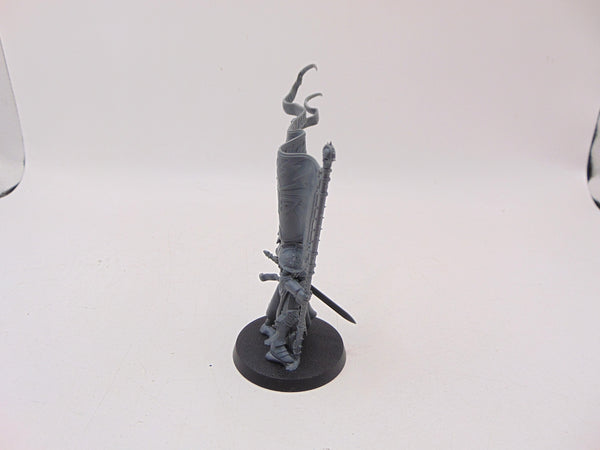 Knight Vexillor with Banner of Apotheosis