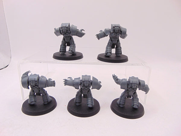 Cataphractii Terminator Squad