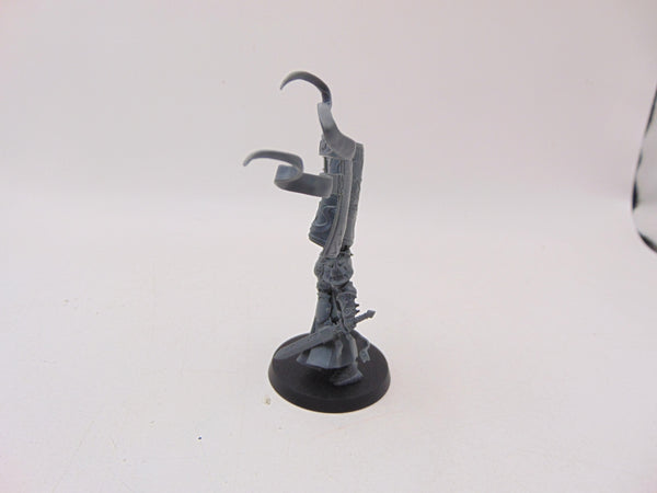 Knight Vexillor with Banner of Apotheosis