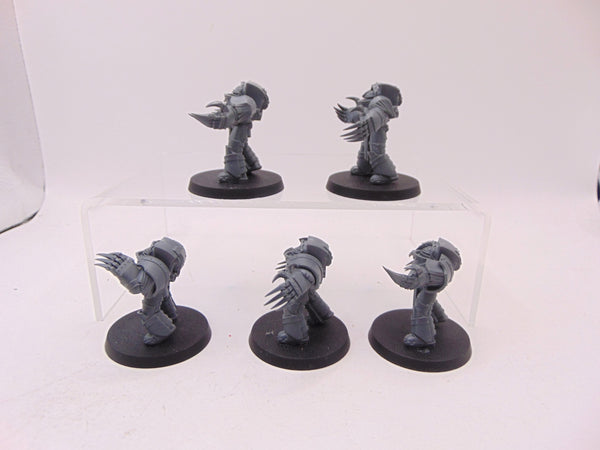 Cataphractii Terminator Squad