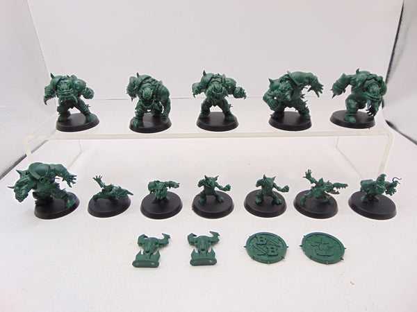 Black Orc Blood Bowl Team: The Thunder Valley Greenskins