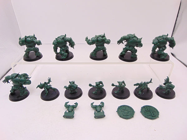 Black Orc Blood Bowl Team: The Thunder Valley Greenskins