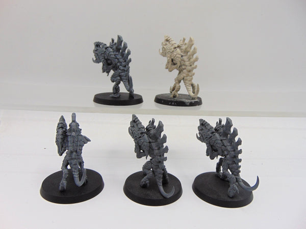 Barbgaunts