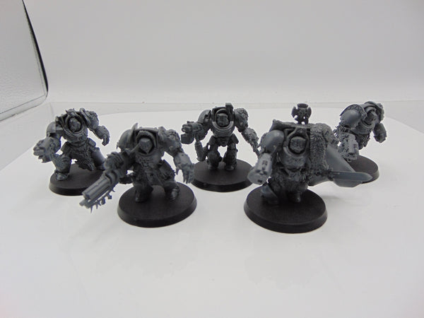 Wolf Guard Terminators