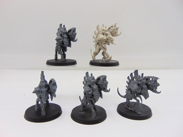 Barbgaunts