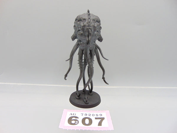 Mucolid Spore
