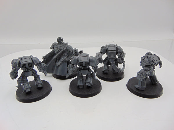 Wolf Guard Terminators