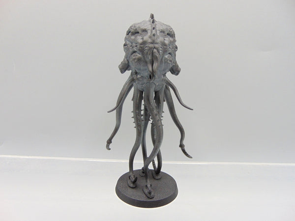Mucolid Spore