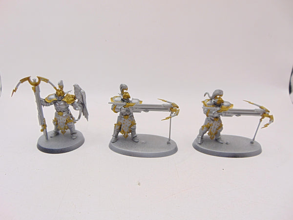 Vanguard Raptors